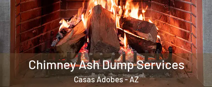  Chimney Ash Dump Services Casas Adobes - AZ