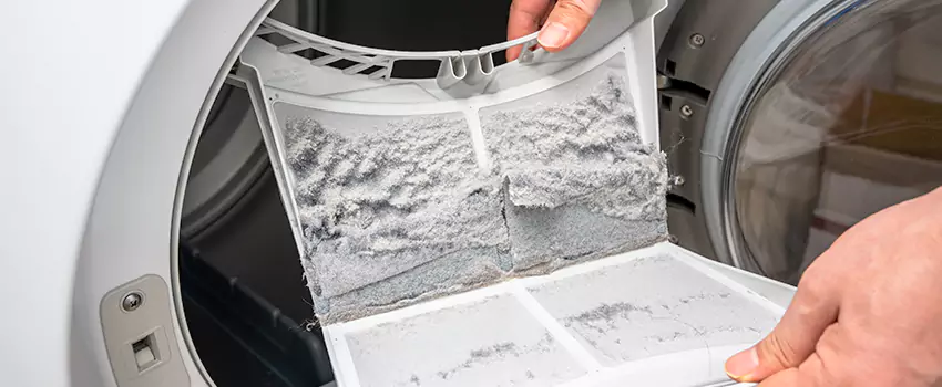 Best Dryer Lint Removal Company in Casas Adobes, Arizona